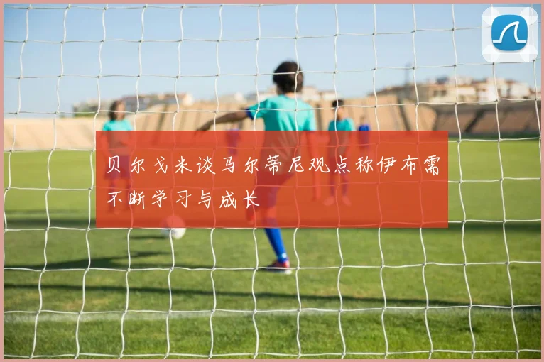 贝尔戈米谈马尔蒂尼观点称伊布需不断学习与成长