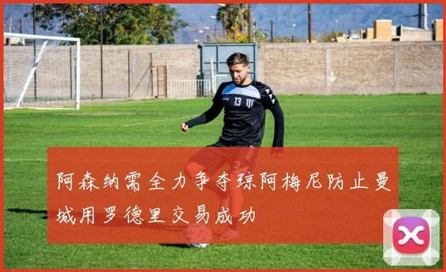 阿森纳需全力争夺琼阿梅尼防止曼城用罗德里交易成功