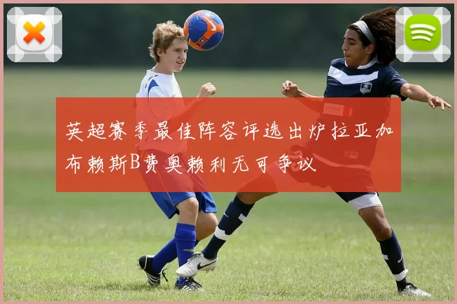 英超赛季最佳阵容评选出炉拉亚加布赖斯B费奥赖利无可争议
